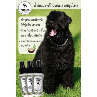 สเปรย์น้ำนมบำรุงขนสัตว์เลี้ยง🥥🐾 แก้สังกะตัง ขนนุ่มเงางาม ลื่นสลวย ใช้ระหว่างหรือหลังอาบน้ำบำรุงขน!