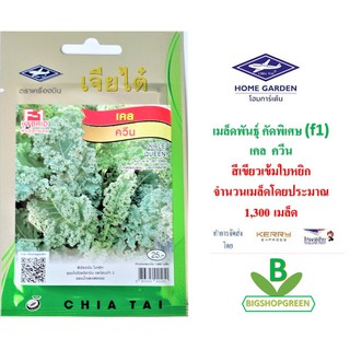 5 ฟรี 1 คละได้ เมล็ดพันธุ์  เคล ควีน  ตราเจียไต๋  เมล็ดพันธุ์คัดพิเศษ F1 เมล็ดผัก เมล็ดพันธุ์พืช  เมล็ดพืช