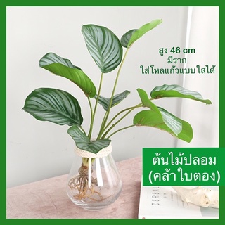 ต้นไม้ปลอม ตกแต่ง ปรับบรรยากาศภายในบ้าน  คล้าใบตอง สูง 46 cm มีราก  ไม่มีกระถางนะคะ