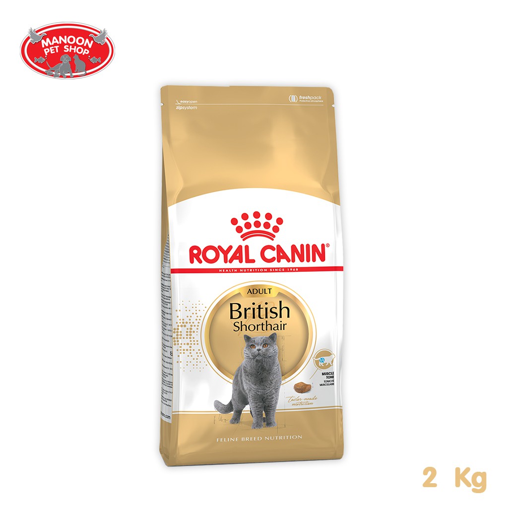 สินค้ารวมส่งฟรี⚡ [MANOON] Royal Canin British Shorthair Adult 2kg สำหรับแมวโตพันธุ์ บริติช ชอร์ทแฮร์ อายุ 1 ปีขึ้นไป ❤️ 🚛COD.เก็บเงินปลายทาง