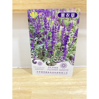 （คุณภาพสูง เมล็ด）เมล็ดดอกบลูซัลเวีย blue salvia 50เมล็ด/ง่าย ปลูก สวนครัว เมล็ด W05X