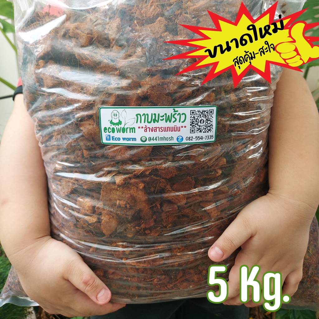 กาบมะพร้าวสับ+ล้างสาร Coco Husk Chips size-s (5Kg.)+ไตรโคเดอร์มา+พร้อมใช้ไม่ต้องแช่เพิ่ม รูปที่ 7