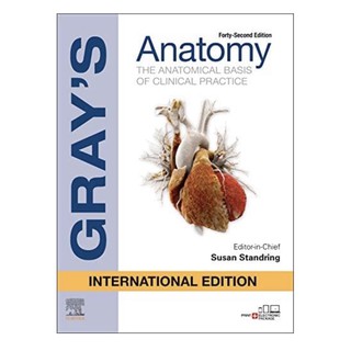 หนังสือภาษาอังกฤษ Grays Anatomy International Edition by Susan Standring พร้อมส่ง