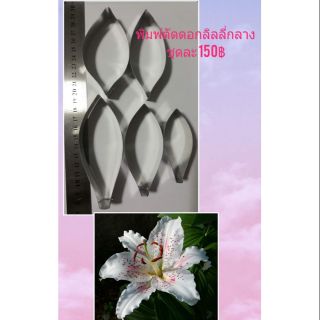พิมพ์ตัดอลูมีเนียมชุดดอกลิลลี่