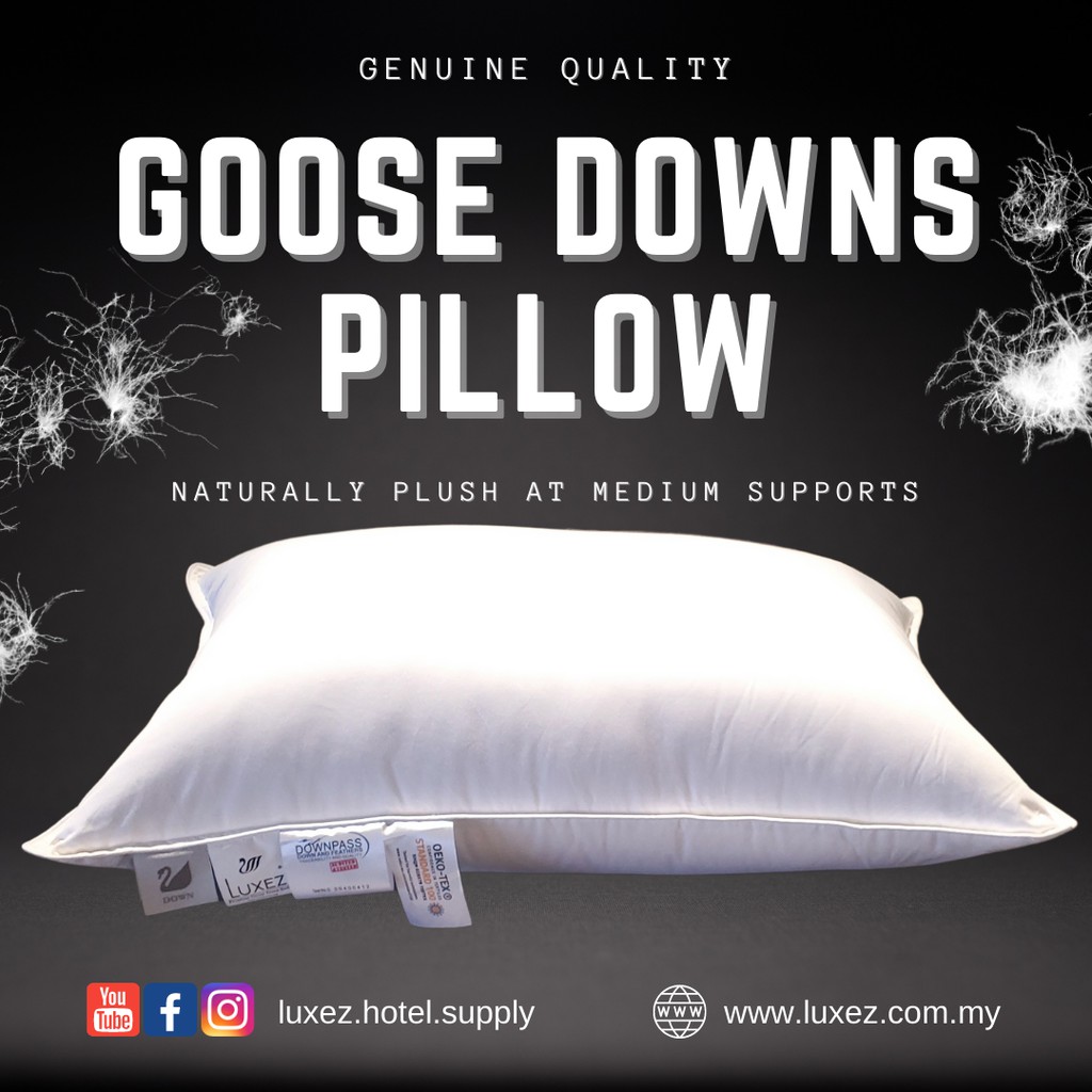 Luxez Luxury Hotel Goose Downs Feather King Pillow Medium Firm