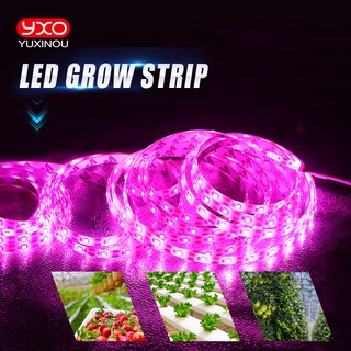 สายไฟ LED ฟูลสเปกตรัม USB ชิป 370-780nm 2835 0.5 ม. 1 ม. 2 ม. 3 ม. สําหรับปลูกพืชในร่ม