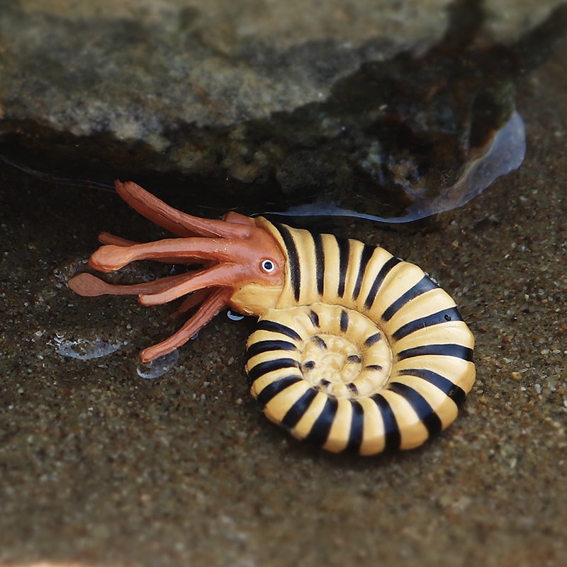 โมเดลฟิกเกอร์ รูปเต่าฉลามทะเล ของเล่นเสริมการเรียนรู้ สําหรับเด็ก - รูปที่ 5