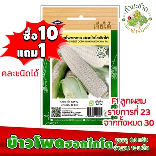 🌽เมล็ดพันธุ์ข้าวโพดฮอกไกโด เจียไต๋ ประมาณ 10 เมล็ด ข้าวโพดหวานทานสด