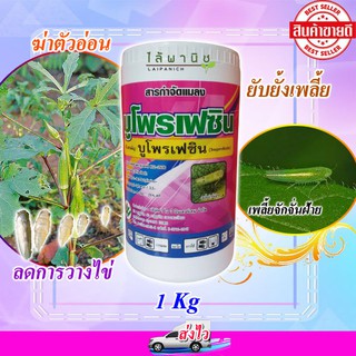 ยาคุมไข่เพลี้ย ขนาด 1 Kg..บูโพรเฟซิน 25% ยาคุมไข่เพลี้ยแมลงปากดูดและตัวอ่อน ชนิดผง เกรดดี เข้มข้นได้ผลดี