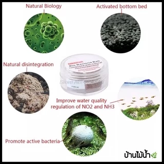 แบคบอล Dr.Tank Bio Bacteria Ball (สูตรใหม่) แบคทีเรียบอล ตัวช่วย บำบัดน้ำใส สลายของเสีย | บ้านไม้น้ำ🌿