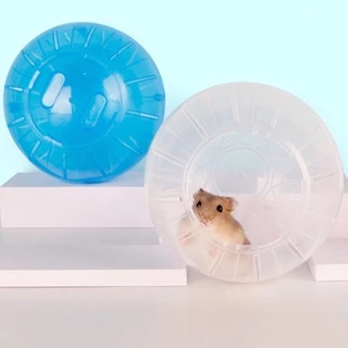 Hambit. ลูกบอลวิ่งแฮมสเตอร์ ลูกบอลแฮมสเตอร์
