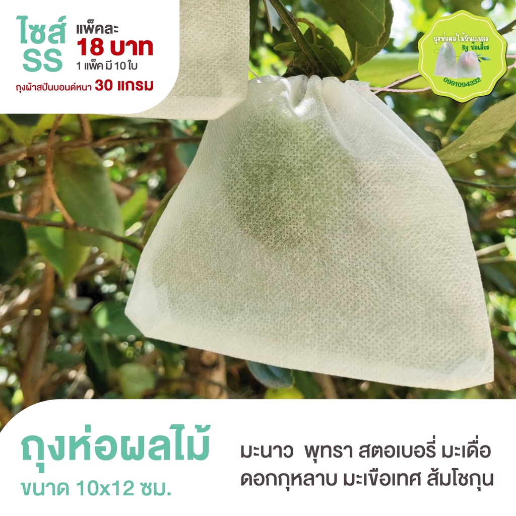 ถุงห่อผลไม้ถุงห่อพุทรา,มะยงชิด,มะเดื่อ - Size SS 10x12ซม.