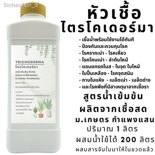 ไตรโคเดอร์มา Trichoderma หัวเชื้อสูตรน้ำเข้มข้น ผสมน้ำได้ 200 ลิตร ผลิตจากเชื้อสด ม.เกษตร กำแพงแสน เชื้อไตรโคเดอร์มาแท้