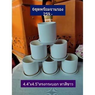 กระถางทรงกระบอกสีขาว&amp;ขาวธรรมชาติ4.4"x4.5พร้อมจานรอง6ชุด