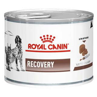 Royal Canin Recovery 195 g. อาหารสำหรับสุนัขหรือแมวป่วยพักฟื้น