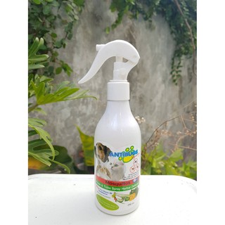 ANTIBUGS Spray สเปรย์ไล่ยุง สเปรย์ป้องกันเห็บหมัด สำหรับสุนัขและแมว 250 ml.