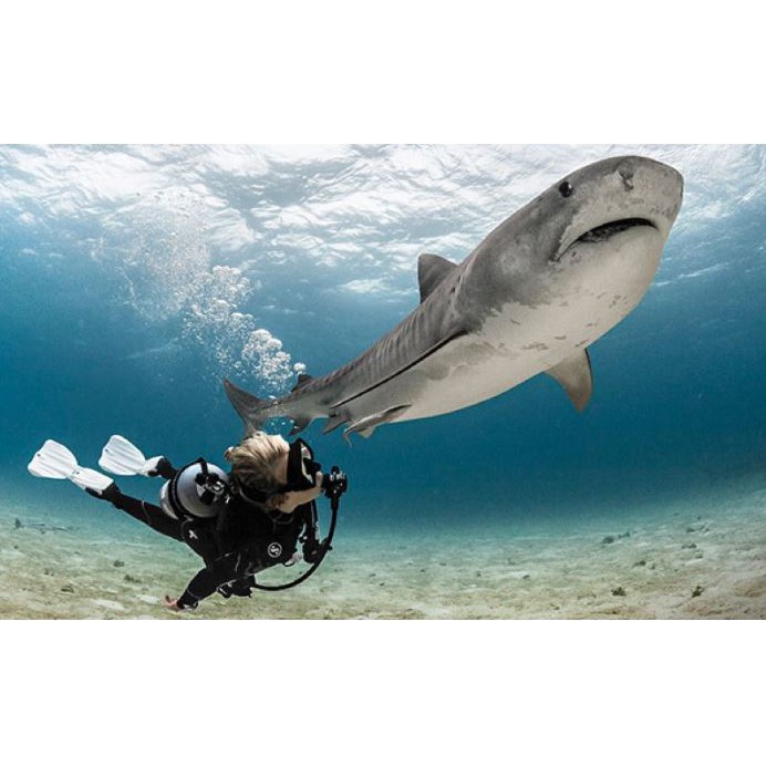SCUBAPRO - Delta 5mm - Boots for Open Heel fin - รองเท้าบูธสำหรับตีนกบ