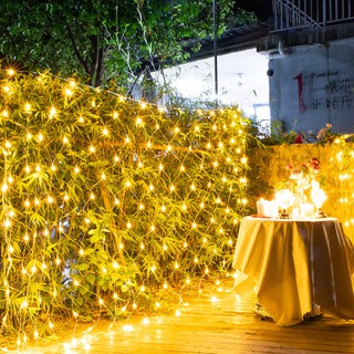 ไฟตาข่ายใหญ่ LED ขนาด 3 x 3 เมตร (สีวอมไวท์)