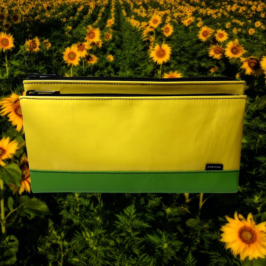 🌻🍃 F271 • MASIKURA SUNFLOWER 🌻🍃