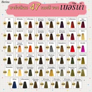 Berina Hair Color เบอรีน่า สีย้อมผม สีผมเบอริน่า 47เฉดสี เปล่งประกาย ติดทนนาน ปิดผมขาว