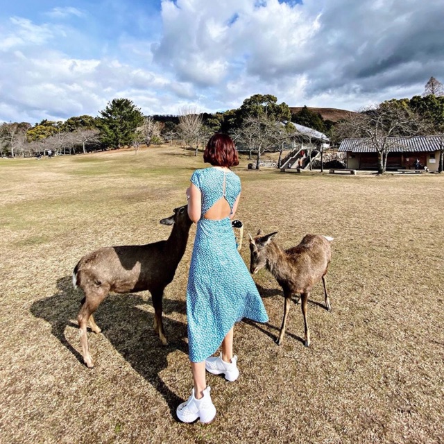 ชุดเดรส ร้าน Yqkoreanshop