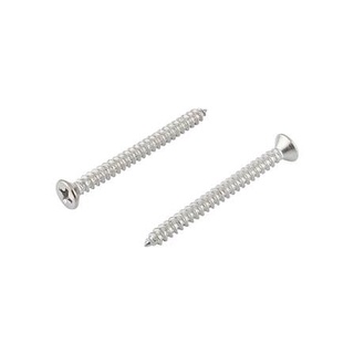 อุปกรณ์ยึดติด สกรูเกลียวปล่อย TF 3.5X40 มม. 10 ตัว Screws, Nuts &amp; Washers