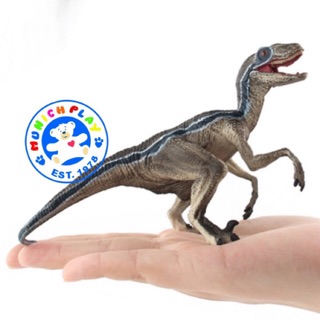 Munich Play - ไดโนเสาร์ Velociraptor ลายฟ้า ขนาด 16.00 CM (จากหาดใหญ่)