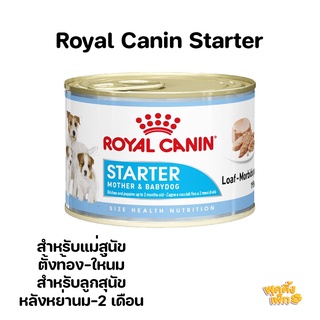 royal canin รอยัลคาร์นิน starter แบบกระป๋อง ขนาด 195g (เนื้อมูส)