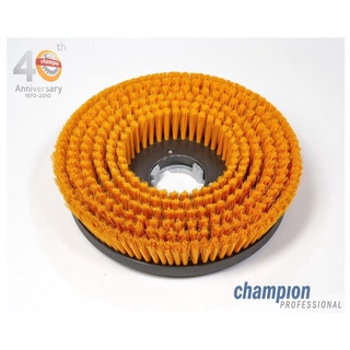 CHAMPION แปรงไนล่อนอ่อน สำหรับซักพรม (Carpet)