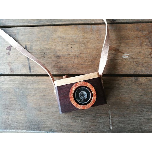 กล้องไม้​ Fish eye camera