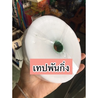 เทปพันกิ่ง อุปกรณ์เสียบกิ่ง