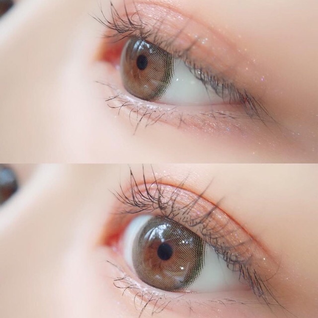 mini Olivia Gray / Brown / Light Brown Blue Green มินิ สีน้ำตาล Kitty Kawaii คอนแทคเลนส์ Rose Roze