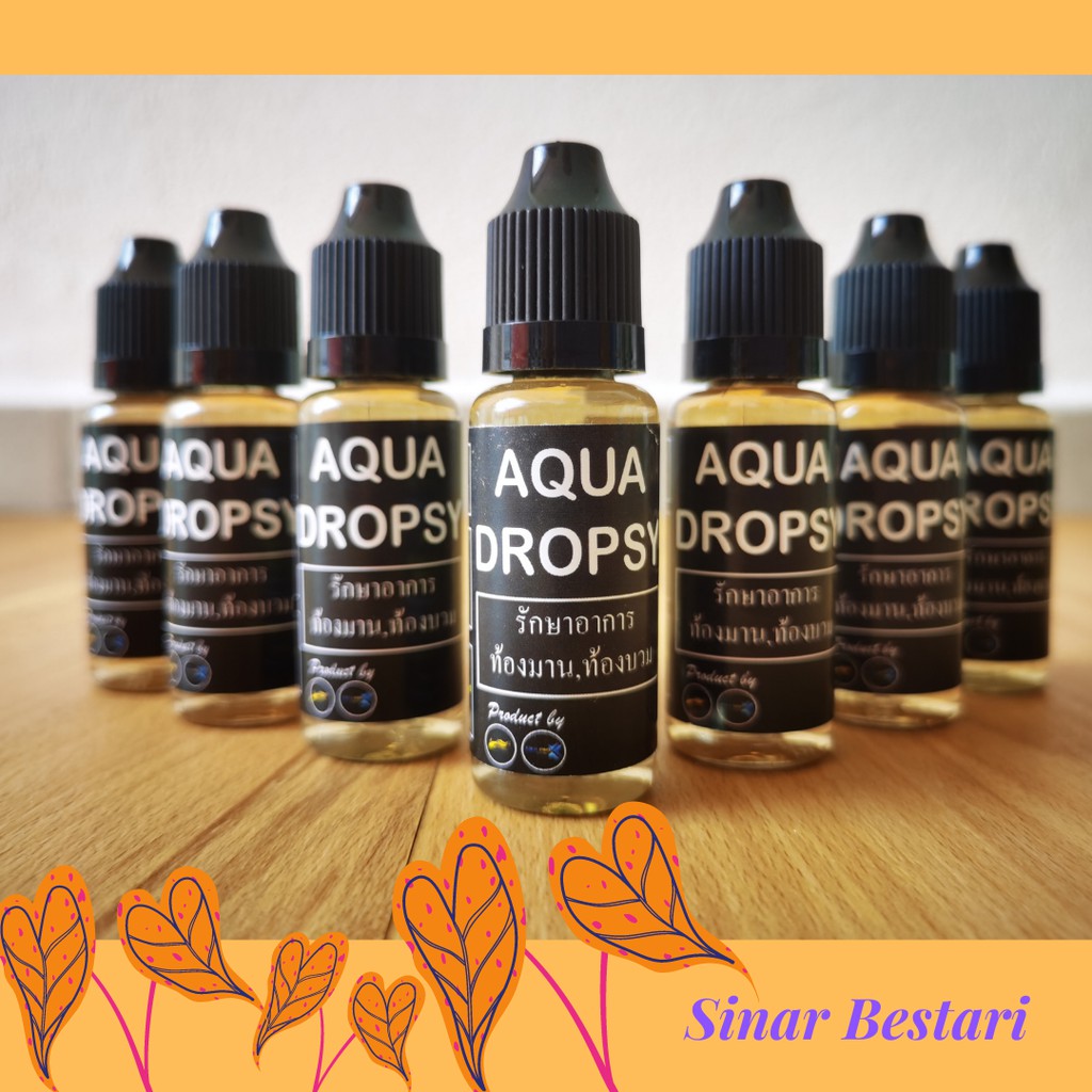 ปลาต่อสู้ Aqua Dropsy ปลาปลากัด PINEAPPLE SCALES DROPSY SMACH BLOATING Constipation