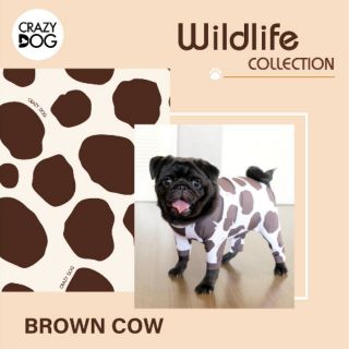 ชุดเก็บขนCrazydog Brown  Cow