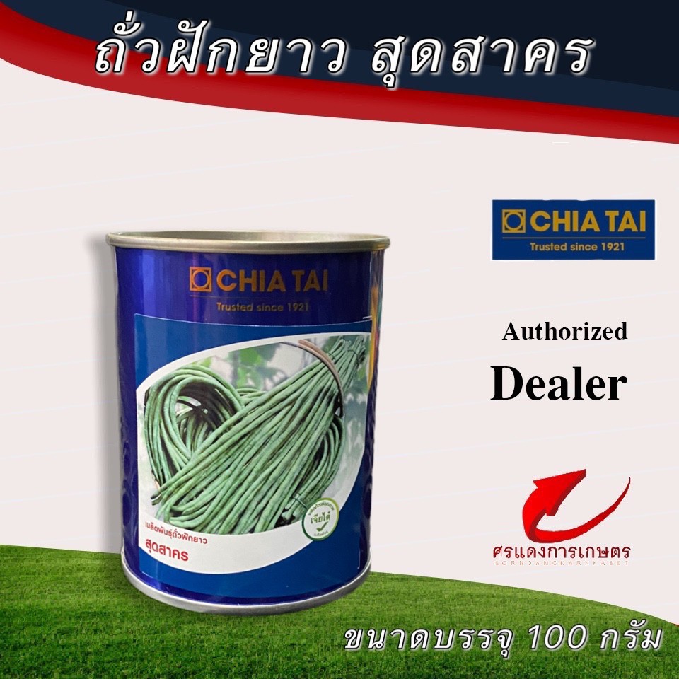 เมล็ดพันธุ์ ถั่วเนื้อสุดสาคร 100g 500g #เมล็ดพันธุ์ #เมล็ดผัก #เมล็ดพันธุ์ผัก #ถั่วฝักยาว