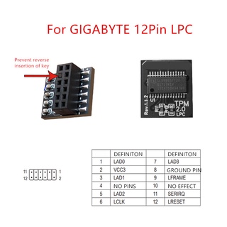 Tpm 2.0 โมดูลรองรับเวอร์ชั่น 2.0 WIN11 ระบบอัพเกรด 12PIN LPC สําหรับ Gigabyte