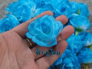 ดอกกุหลาบบาน (กุลาบมอญ) ถูกที่สุด