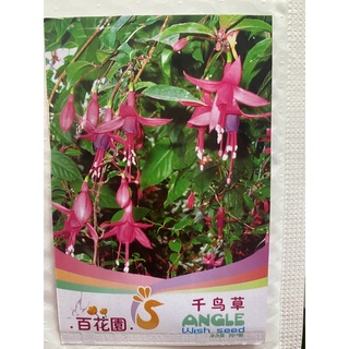 เมล็ดพันธุ์ ดอกไม้ ตุ้มหูนางฟ้า , โคมญี่ปุ่น (Fuchsia  hybirds) บรรจุ 20 เมล็ด