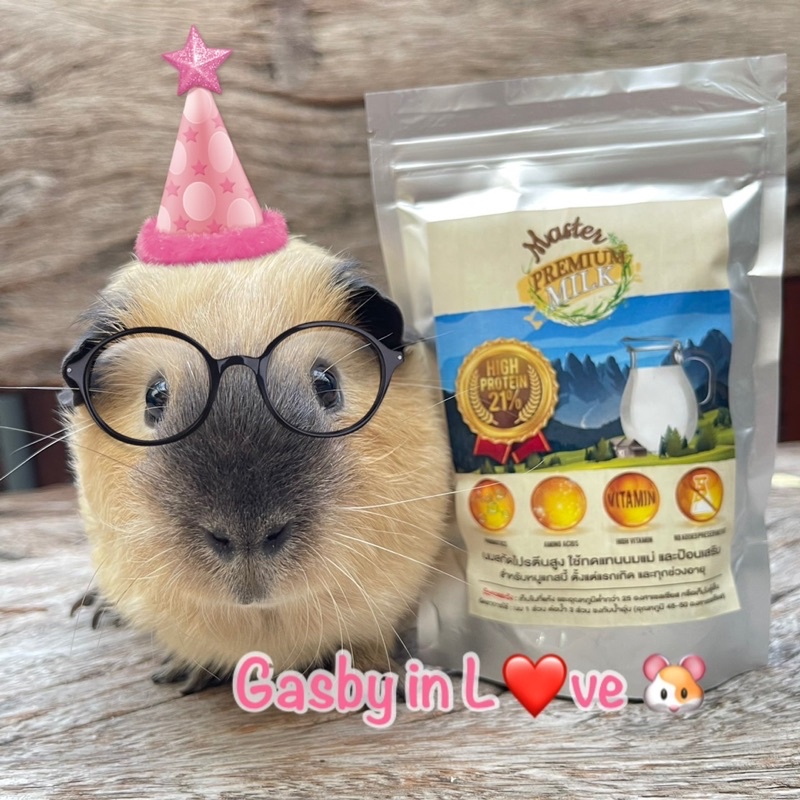 Master Premium Milk 🐹🥛  นมผงสกัดเข้มข้นสำหรับหนูแกสบี้