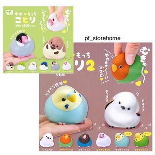 🅟🅕 กาชาปองน้องนกหลากหลายพันธุ์ Soft vinnyl Birds Mocchi Kotori gashapon