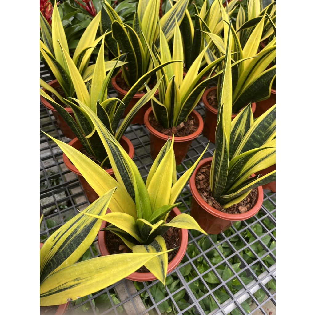 มุมมอง 2