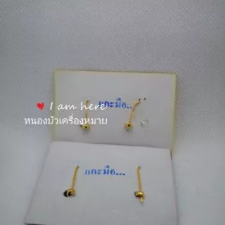 คอเสื้อสิงห์ปกครอง,(มหาดไทย), ติดปกเสื้อ