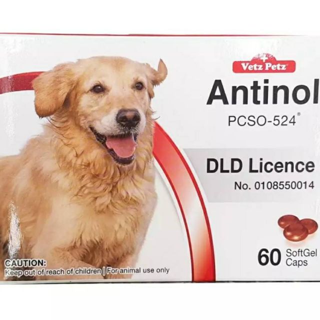Antinol 60 เม็ด Vetz Petz แอนทินอล Dog อาหารเสริม ลดการอักเสบ บำรุงข้อ สำหรับสุนัข สารสกัดจากธรรมชาติ