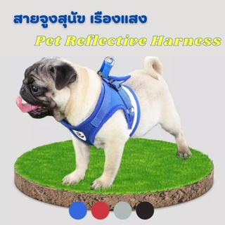 #P049 สายจูงสุนัข เรืองแสง Pet Reflective Harness สายจูงสัตว์เลี้ยง สายจูงหมา สายรัดอกสุนัข