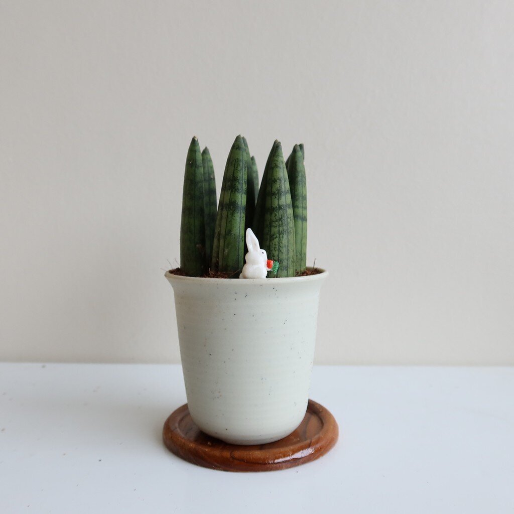 มุมมอง 2