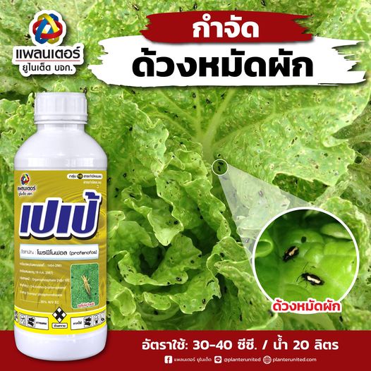 เปเป้ ยาฆ่าเพลี้ยไฟ หนอนบุ้ง เต่าแตง ด้วงหมัดผัก ขนาด 500 ซีซี (โพรฟีโนฟอส 50% EC) บริษัท แพลนเตอร์