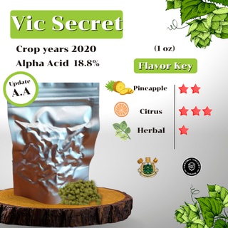 Vic Secret Hops (1oz) Crop years 2020 (บรรจุด้วยระบบสูญญากาศ)