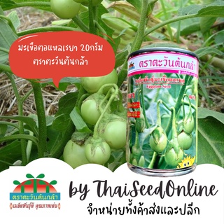 ADV กป 20กรัม เมล็ดพันธุ์มะเขือตอแหล เรยา ตราตะวันต้นกล้า