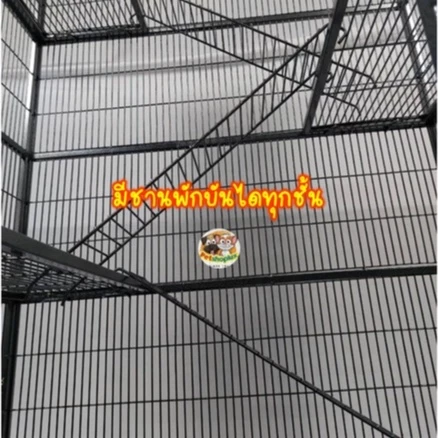 🔥8.8 กรงชูก้า/กรงนก/ลิงมาโมเสส/กระรอก 4 หุน​ มีล้อ พร้อมถาดรองกรง <🟢สินค้าพร้อมส่ง> thumbnail 5