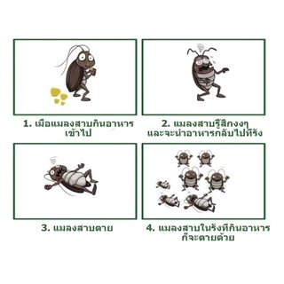 ที่ดักแมลงสาบ กับดักแมลงสาบ ดักแมลงสาบ กล่องดักแมลงสาบ กำจัดแมลงสาบ แมลงสาบ ไม่มีเหยื่อล่อ (นำกลับมาใช้ใหม่ได้)